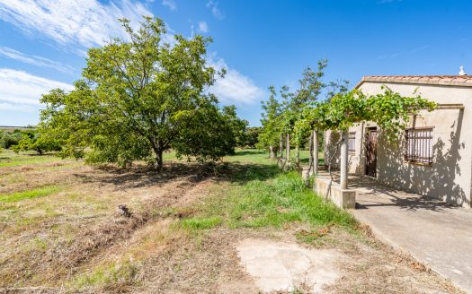 Finca amb arbres fruiters prop de Roquetes (553)