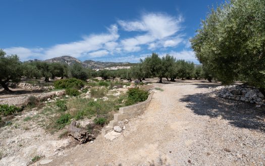 Close and quiet (567)