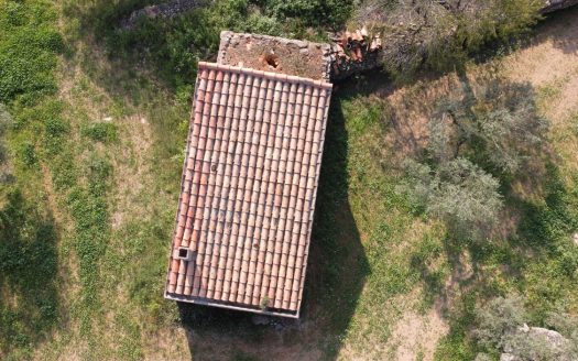 Gran terreno plano (585)
