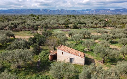 Gran terreno plano (585)