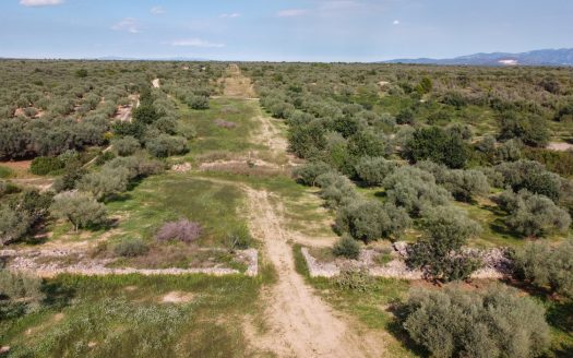 Gran terreno plano (585)