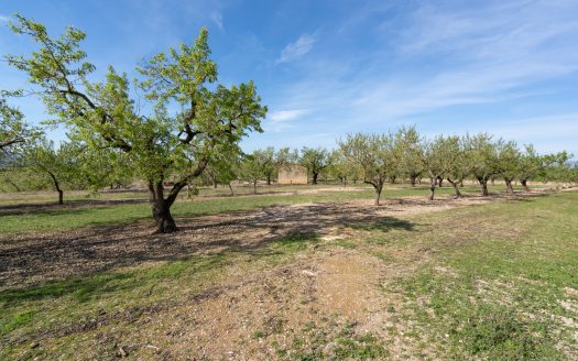 Near the village with water (588)