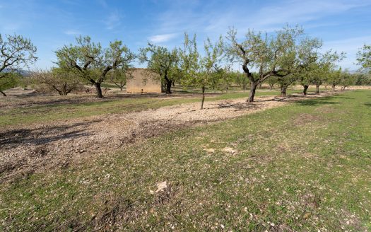 Near the village with water (588)