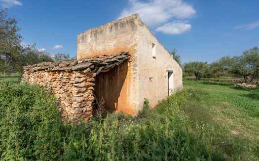 Gran terreno plano (585)