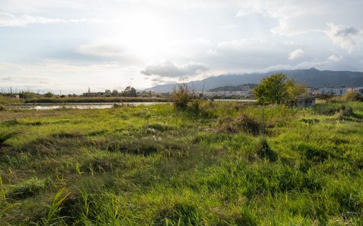 Land near La Rapita (595)
