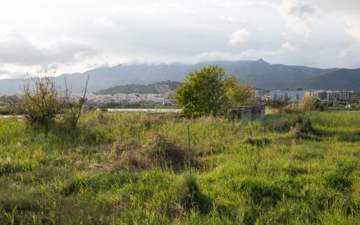Land near La Rapita (595)