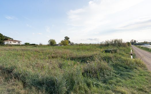 Land near La Rapita (595)