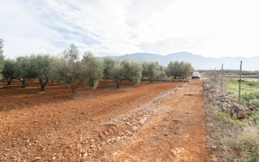 Selling two pieces of land near the road (624)