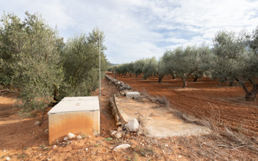 Selling two pieces of land near the road (624)