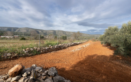 Selling two pieces of land near the road (624)