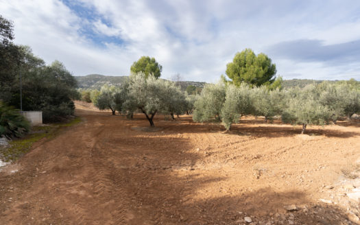 Selling two pieces of land near the road (624)