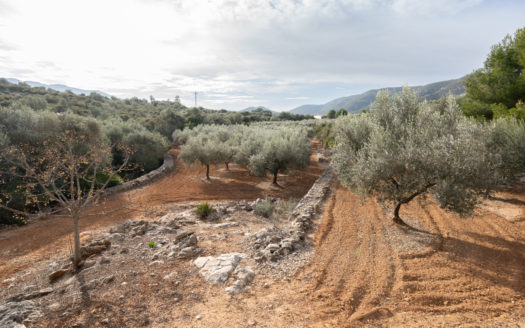 Selling two pieces of land near the road (624)