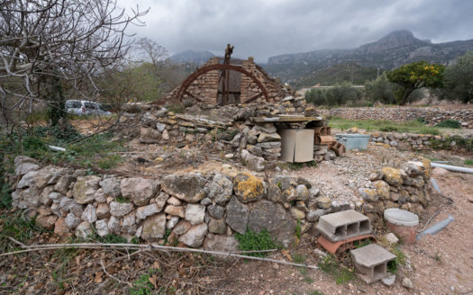 Vegetable patch near the village (650)