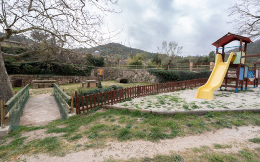 Vegetable patch near the village (650)