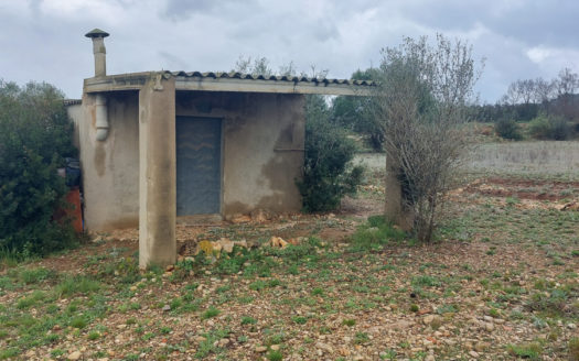 A piece of land with a shelter (664)