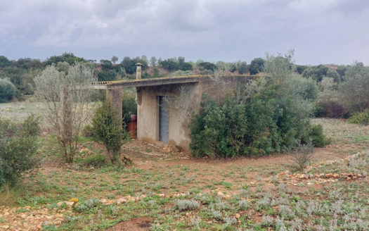 A piece of land with a shelter (664)
