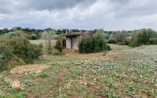 A piece of land with a shelter (664)