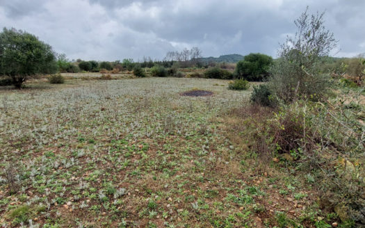 A piece of land with a shelter (664)
