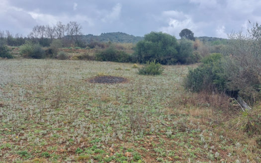 A piece of land with a shelter (664)