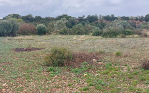A piece of land with a shelter (664)