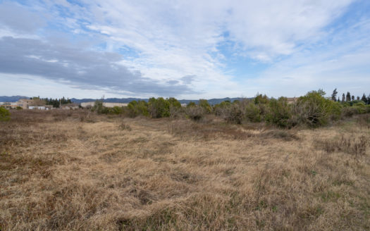 Farmhouse to restore near Tortosa (653)