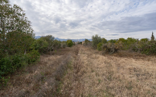 Farmhouse to restore near Tortosa (653)