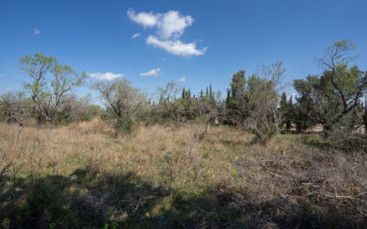 Gran finca plana amb bon accés (660)