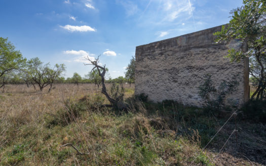 Gran finca plana amb bon accés (660)