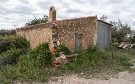 Mandarin plot with 40 sqm building (672)