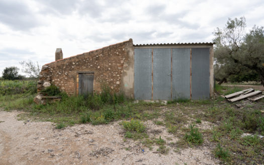 Mandarin plot with 40 sqm building (672)