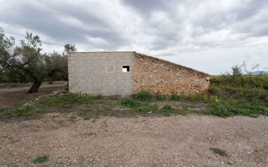 Mandarin plot with 40 sqm building (672)