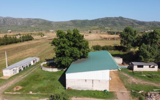 The resort of a shepherd (713)