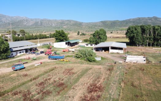 The resort of a shepherd (713)