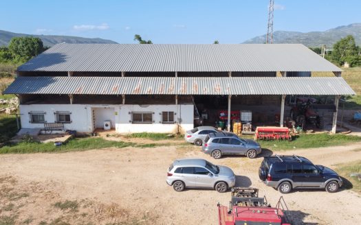 The resort of a shepherd (713)