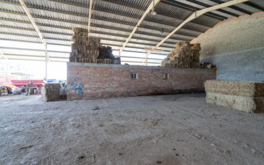 The resort of a shepherd (713)