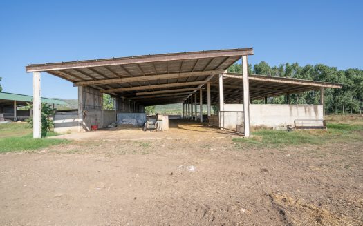 The resort of a shepherd (713)