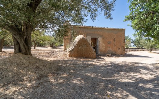 Big plot of land with irrigation water and good access (728)