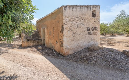Big plot of land with irrigation water and good access (728)