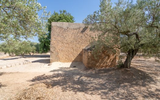 Big plot of land with irrigation water and good access (728)