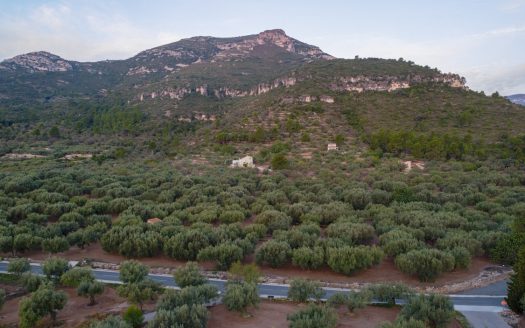 La esencia de la naturaleza (759)