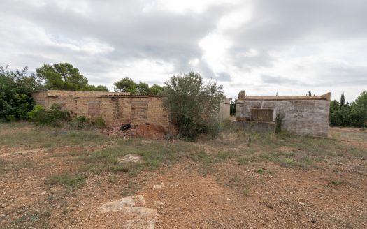 Many options near the sea (753)
