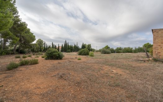 Many options near the sea (753)