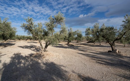 3-hectare land with irrigation water (777)
