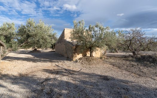 3-hectare land with irrigation water (777)