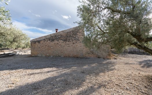 3-hectare land with irrigation water (777)