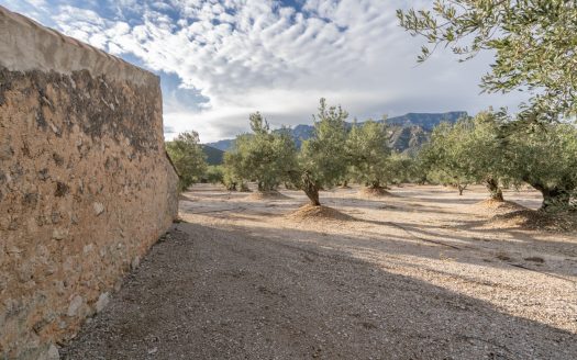 3-hectare land with irrigation water (777)