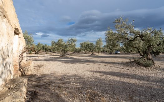 3-hectare land with irrigation water (777)
