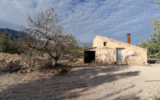 3-hectare land with irrigation water (777)
