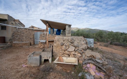 Olive-trees plot with a country house (780)