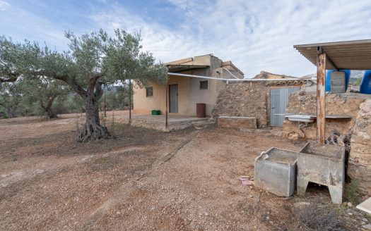 Olive-trees plot with a country house (780)